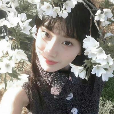 情歌恋曲
